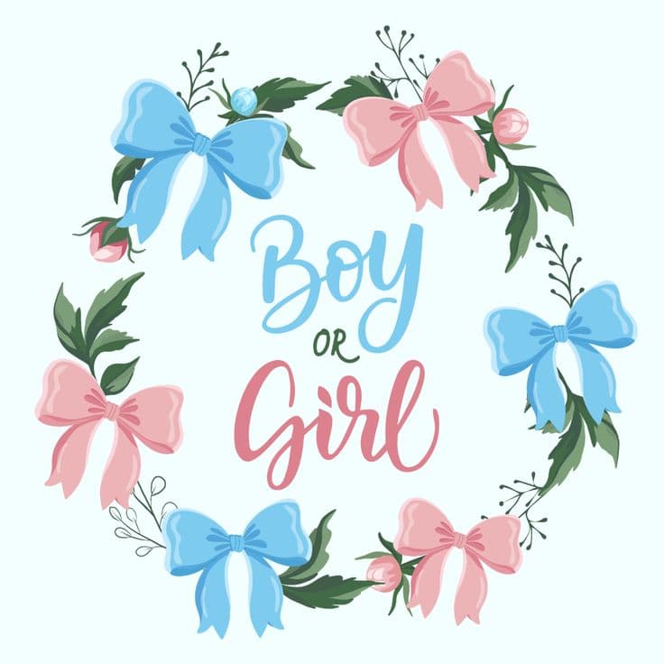Gender Reveal